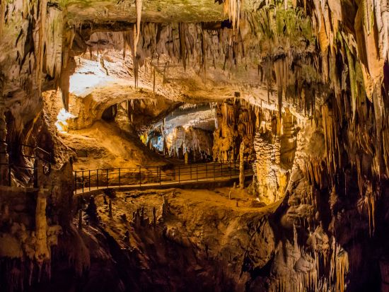 スロベニア首都 リュブリャナ＋ポストイナ鍾乳洞＆プレジャマ城 日帰り観光ツアー＜4～10月／英語／ザグレブ発＞