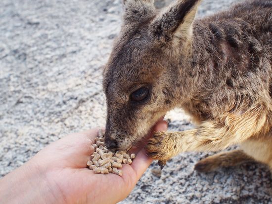 20150901101350_1371545507_0