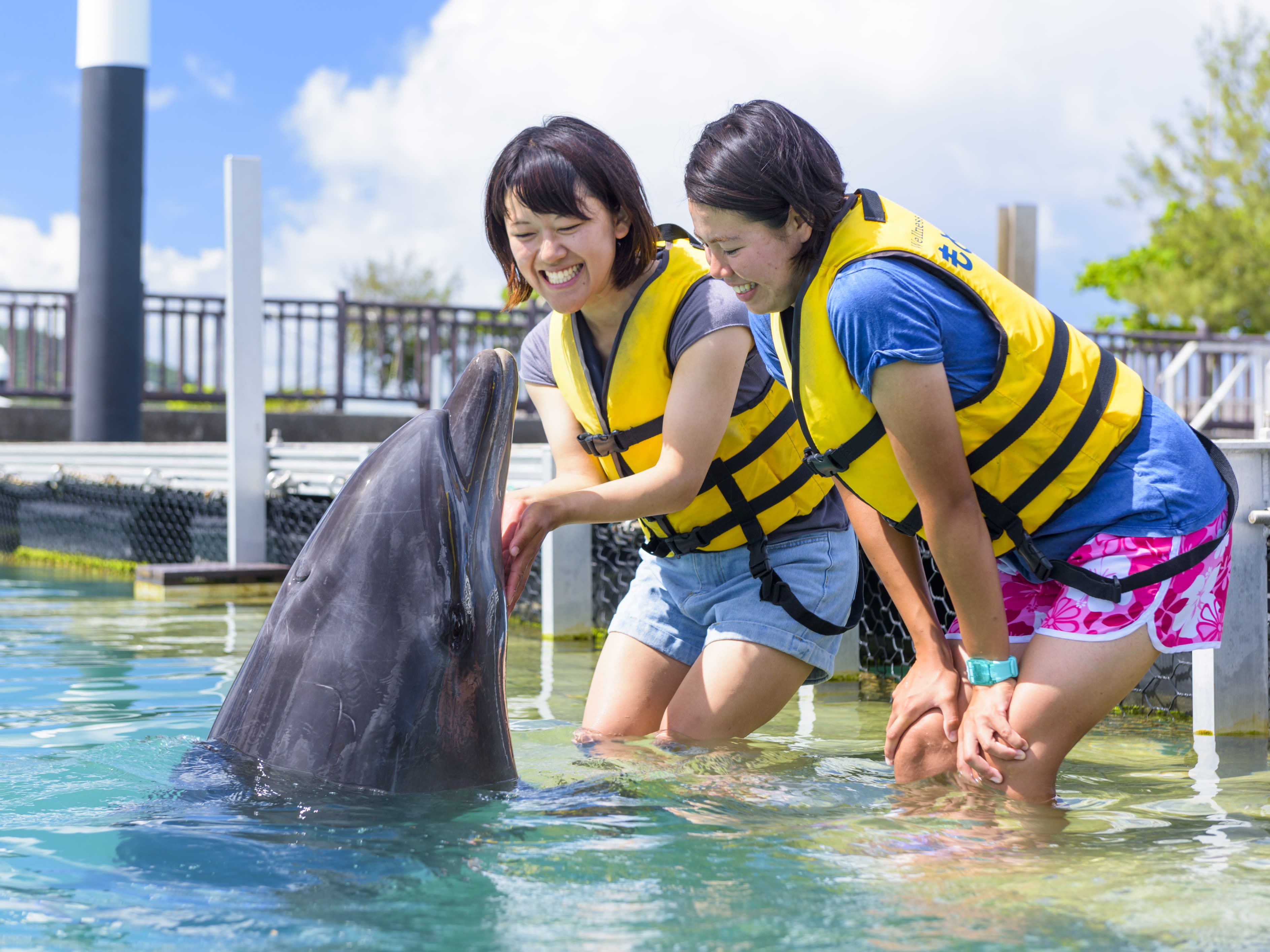 Family-Friendly Dolphin Encounter with Professional Instructor in Okinawa