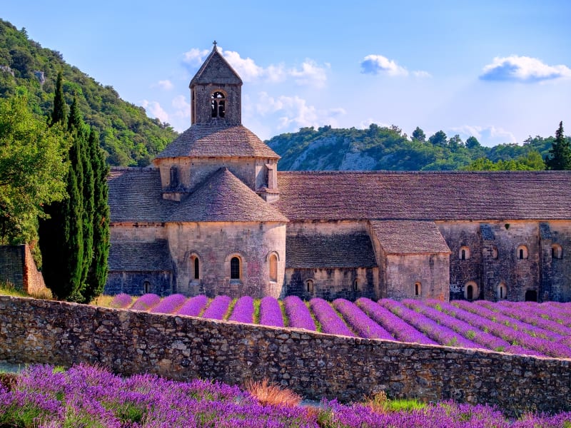 France Provence Luberon Senanque Abbey Lavender