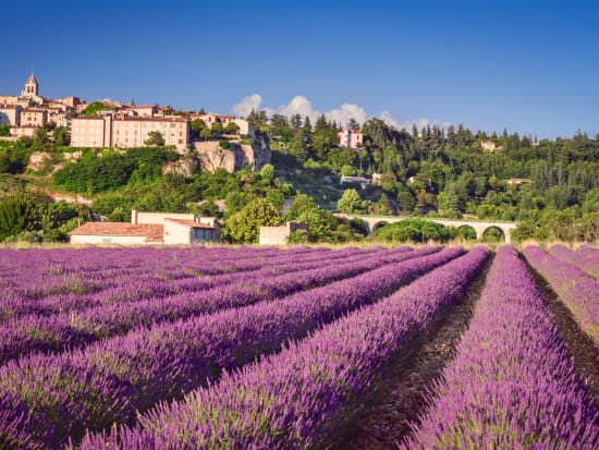 France Provence Lavender Fields