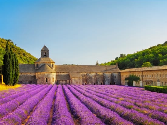 France_Provence_Lavender_Fields