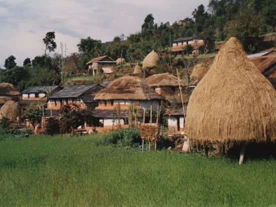 【2泊3日】ネパール屈指の野生の王国へ！世界遺産・チトワン国立公園ツアー＜日本語ガイドプラン有／食事付／カトマンズ発＞*オプションにてフライト移動も可能！
