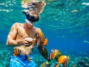 Diverse fishes in Nusa Penida