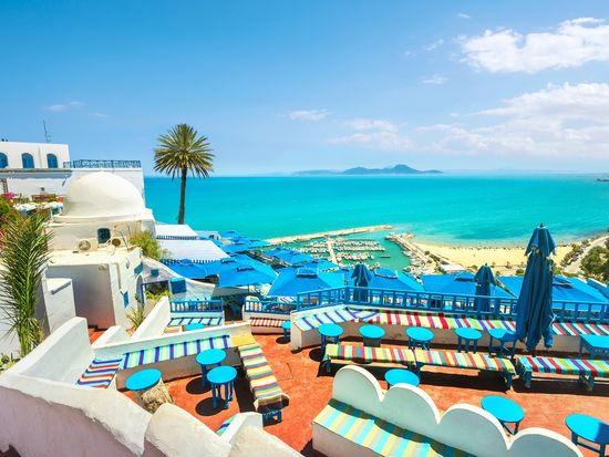 Carthage, Sidi Bou Said and Tunis Full Day Trip from Hammamet with