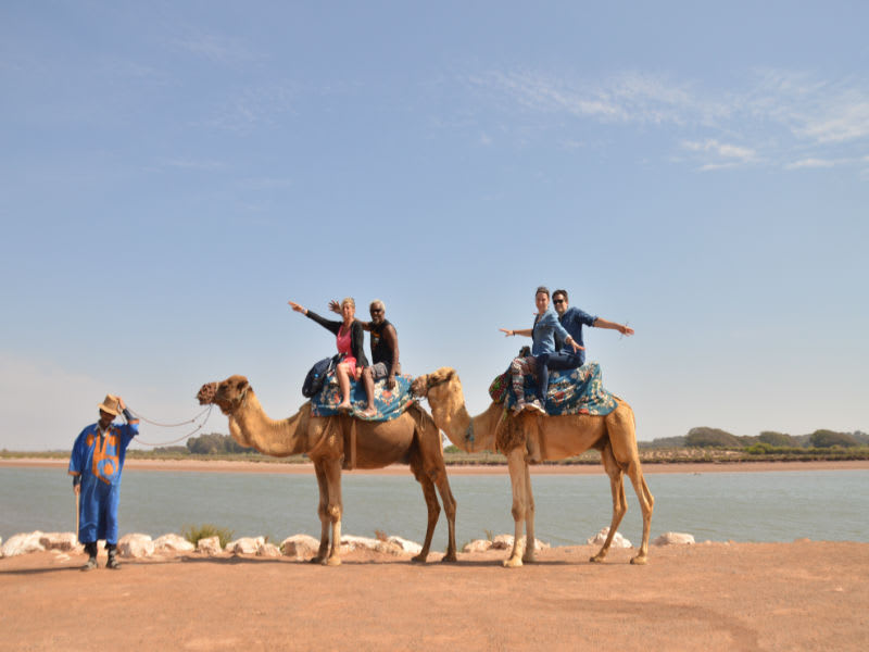 Agadir Sunset Camel Ride And Barbecue Dinner With Hotel Transfers Tours ...