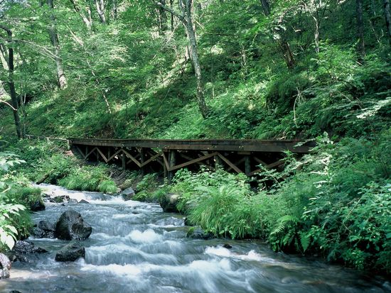 e02b42_e27b6dab01584999abdb9470fe151575-mv2_d_1275_1700_s_2-iloveimg-converted