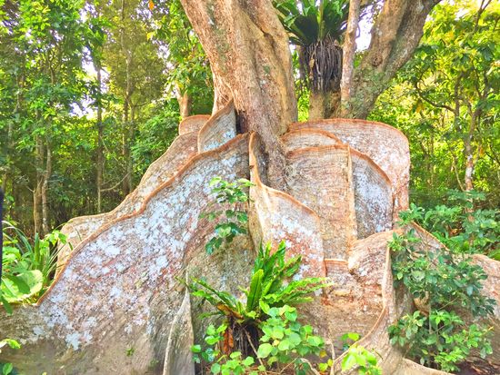 ホームページ用素材_190412_0084