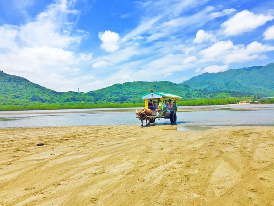 西表 由布島めぐり日帰りツアー マングローブ遊覧 水牛車 半日 石垣島 八重山の観光 オプショナルツアー専門 Veltra ベルトラ 西表 由布島めぐり日帰りツアー マングローブ遊覧 水牛車 半日 石垣島 八重山の観光 オプショナルツアー専門 Veltra ベルトラ
