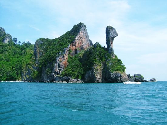 ‘04　チキン　2