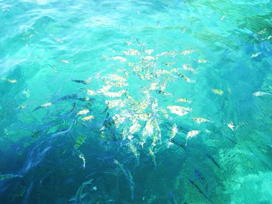 【クラビ発】スピードボートで行くアイランドホッピングツアー　ポダ島&チキン島&タップ島＋神秘的なプラナンビーチ＜ランチ＆送迎付／日本語or英語ガイド＞