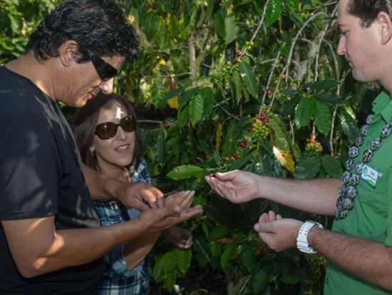 ハワイ島　歴史探検ツアー　コナコーヒー農園・養蜂所にもご案内＜昼食付／1日／英語ガイド＞