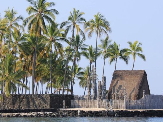 ハワイ島　歴史探検ツアー　コナコーヒー農園・養蜂所にもご案内＜昼食付／1日／英語ガイド＞