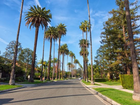 ロサンゼルス 貸切観光チャーター　空港送迎も可能で快適にご案内＜1～14名／4～9時間／日本語ドライバー＞