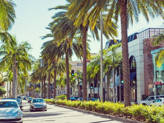 ロサンゼルス 貸切観光チャーター　空港送迎も可能で快適にご案内＜1～14名／4～9時間／日本語ドライバー＞