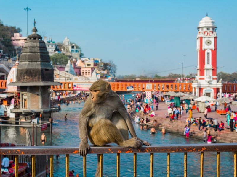 India_Haridwar_shutterstock_1083727904