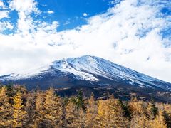 Japan_Yamanashi_Fuji_5th_station_shutterstock_1316081477