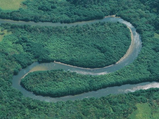 西表島仲良川空撮