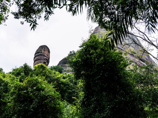 shutterstock_1310180071