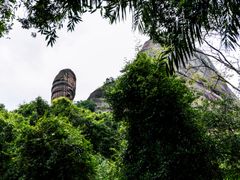 shutterstock_1310180071