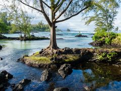 shutterstock_1285205152