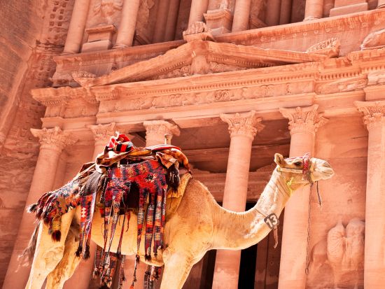 【2泊3日】ヨルダンの見所をさくっと楽しむ！ワディラム＋ペトラ遺跡＋死海＜貸切／英語／アンマン空港発着／選べるホテルランク＞