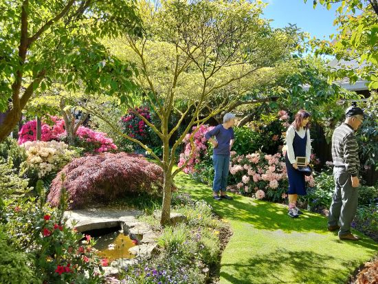 クライストチャーチが誇る3つのプライベートガーデン巡りツアー　クライストチャーチが「ガーデンシティー」と呼ばれる理由に迫る！＜日本語ガイド／送迎あり＞