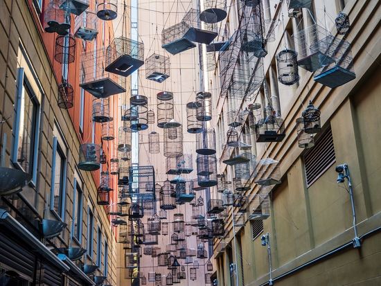 Angel_Place_Bird Cage_shutterstock_298807649