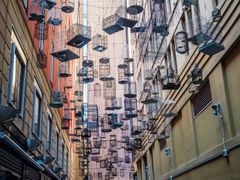 Angel_Place_Bird Cage_shutterstock_298807649