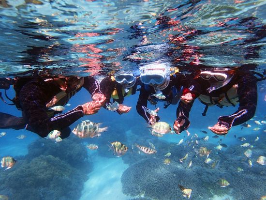 シーカヤック  冬でも海が楽しめる！クリアカヤックで行くやどかり島上陸＆神秘の洞窟探検(シューノーケリング付きプランもあり)＜写真無料／恩納村＞byグッドライフ