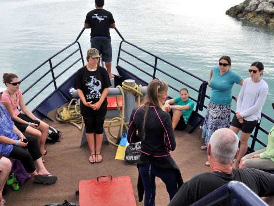 【7月～10月限定】ザトウクジラとシュノーケリング！ホエールスイム＆ウォッチ終日ツアー＜英語ガイド／シュノーケリング器材レンタル・昼食付き＞