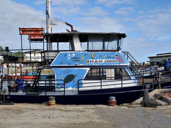 【7月～10月限定】ザトウクジラとシュノーケリング！ホエールスイム＆ウォッチ終日ツアー＜英語ガイド／シュノーケリング器材レンタル・昼食付き＞