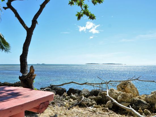 トンガ本島 歴史と文化体験ツアー＜現地ガイド英語可／ローカルフードのピクニックランチ付き＞