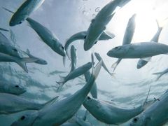IMG_20190307_003505_093