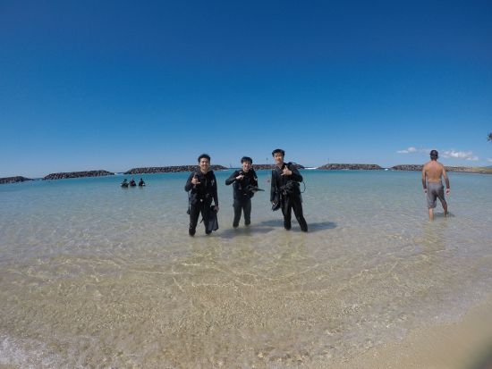 体験ダイビング　アラモアナのマジックアイランドで2ダイブ！ビーチからのエントリーで初心者におすすめ　GoProレンタル付きプランあり＜ビーチ／2ダイブ＞