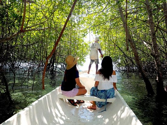 12.マングローブ（ボート）