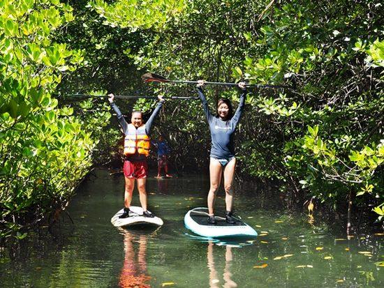 17.マングローブ（SUP）