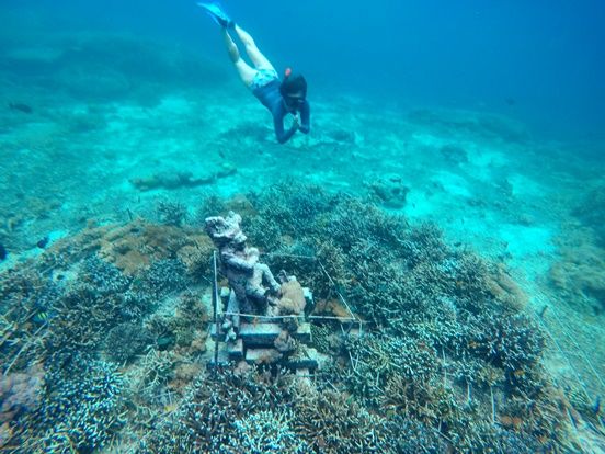 レンボンガン島・ペニダ島 | バリ島 旅行の観光・オプショナルツアー