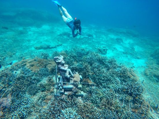 大満喫のレンボンガン島日帰りツアー　青い海でシュノーケリング＆マングローブ探検　マリンスポーツ2種+ビーチクラブ利用付 ＜日本語ガイド／ランチ付／送迎＞