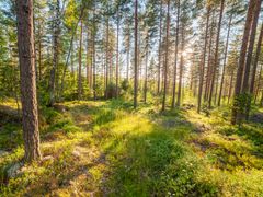 shutterstock_625969928