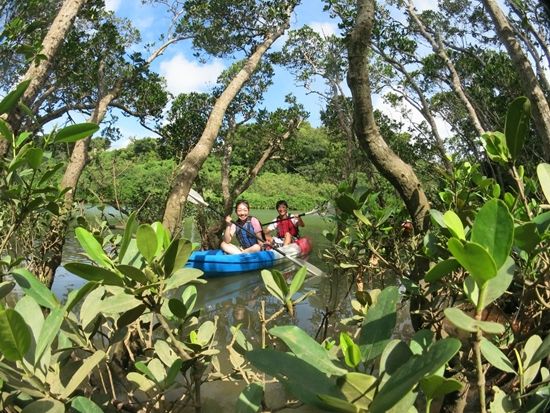 【人気プランがセットでお得！】フィッシング・マングローブカヤックor SUP・サンセットカヤックを組み合わせて楽しめる！＜中部（嘉手納町発）／当日予約OK＞
