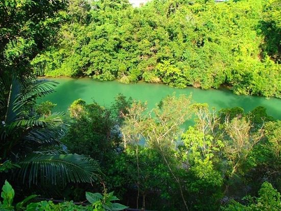 【当日・直前予約OK！】2歳から楽しめるマングローブカヤック♪ガイド撮影データ無料＆スマホケースの無料貸出も！＜本島中部・嘉手納町＞