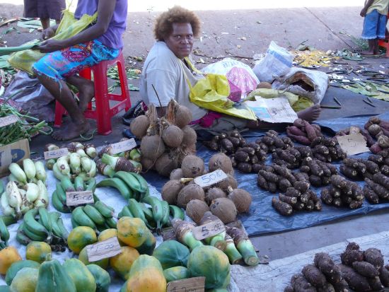 ガダルカナル島　ホニアラ市内　半日観光ツアー＜英語ガイド＞