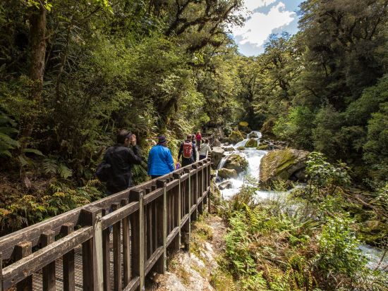 世界遺産フィヨルドランド国立公園 ミルフォード・サウンド クルーズ＆国立公園散策ツアー＜1日／英語ガイド／テ・アナウ発着＞