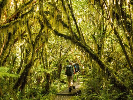 世界遺産フィヨルドランド国立公園  世界一美しい散歩道 ミルフォード・トラックウォーキングツアー＜午前／英語ガイド／テ・アナウ発着＞