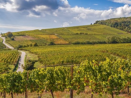 alsace tour from colmar