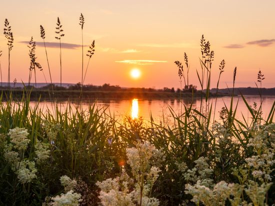 shutterstock_697135348