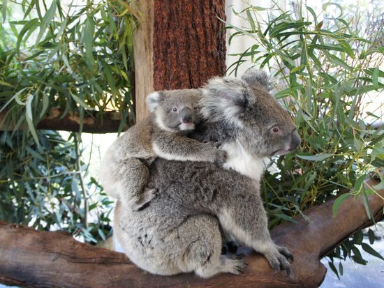 DSC01369 - コピー