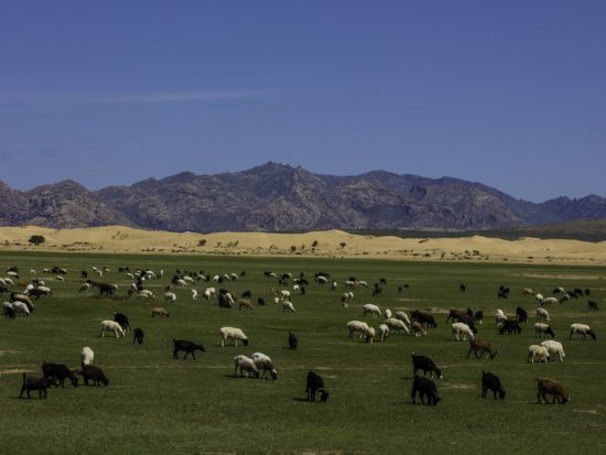 【2泊3日・5～10月限定】カラコルムを満喫！専用車でご案内するブルド＆世界遺産カラコルム遺跡＜食事付き／日本語ガイド／ゲル泊／ウランバートル発＞