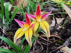 DSC_0353_edited